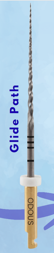 Lima Rotatória Odous Gic c/4 + 2 Odous Clean