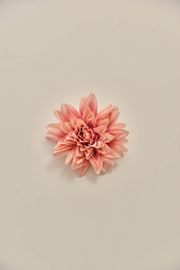BROCHE DE FLOR ROSA
