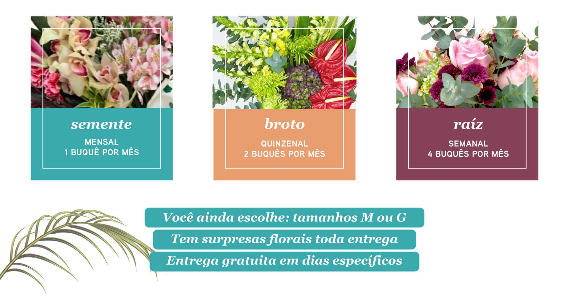 Floet Club Grid