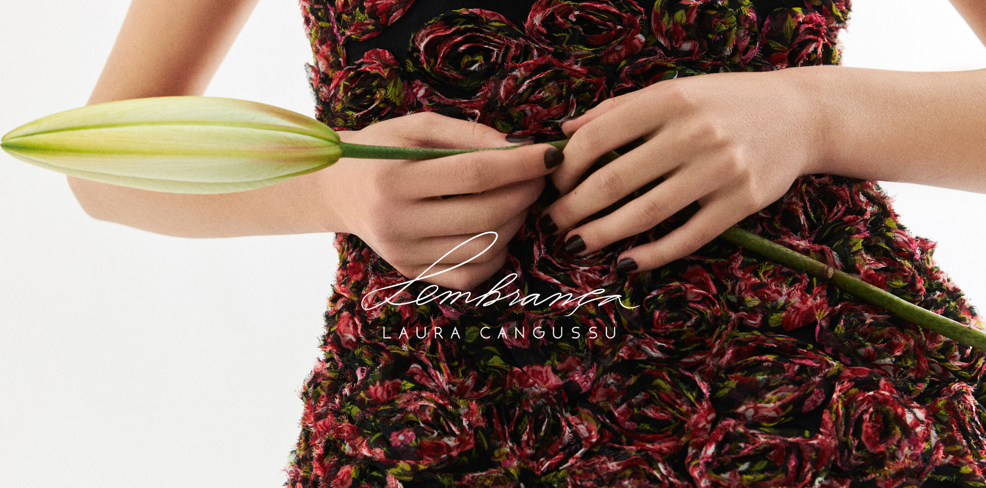 banner1