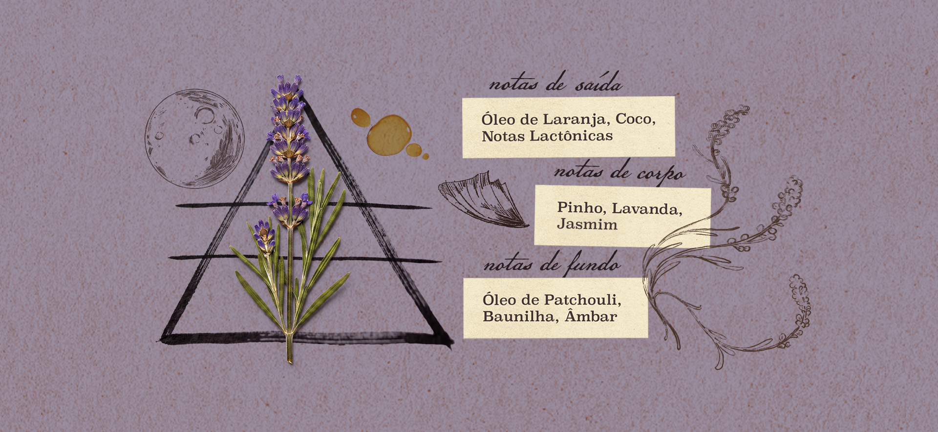 Pirâmide olfativa Lavanda da Sorte