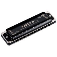Foto do produto Gaita Diatônica Blues T008K 2.0 Preta 20 Vozes Com Case