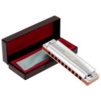 Foto do produto Gaita Diatônica Blues Professional T008S Cromada 20 Vozes Com Case