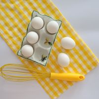 PORTA OVOS EM PORCELANA LIMÕES