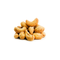 Foto do produto Castanha de Caju Torrada com Sal 100g