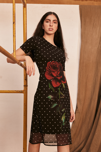 Vestido Tule Poa Decote Redondo