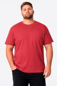 Foto do produto CAMISETA MALHA PLUS SIZE OGOCHI