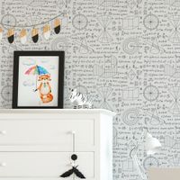 Foto do produto Papel de Parede Fórmulas e Gráficos Matemáticos