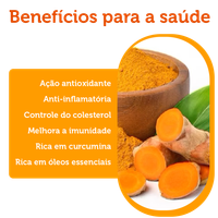 Cúrcuma pura Color Andina 100g - 2 pacotes 