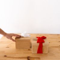 Foto do produto Caixa para Presentes Pequena