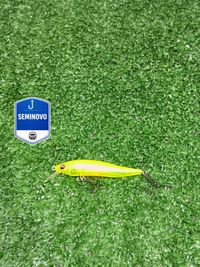 Foto do produto NOVA SEM CAIXA - ISCA MEGA BASS X-NANAHAN 70 - VERDE 