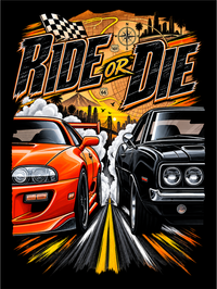 Foto do produto CAMISETA ALGODÃO MODELO 24 CARROS