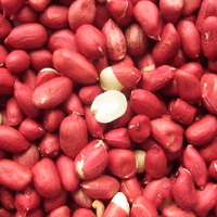 Foto do produto AMENDOIM CRU COM PELE 100g