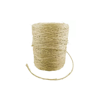 Foto do produto Barbante de Sisal c/ 49mts Natural - Boca Azul