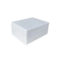 Foto do produto Caixa De Isopor 500g