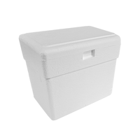 Foto do produto Caixa de Isopor Cap. 08lts - Isoplus