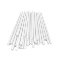 Foto do produto Canudo de Papel Biodegradável com 25unds 60x197mm