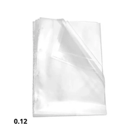 Foto do produto Envelope Plástico 4 Furos Esp. 0,12 com 10unds - Acp
