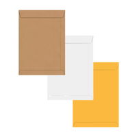 Foto do produto Envelope Saco 36,3 x 46,5cm - Via Brasil