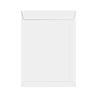 Foto do produto Envelope Saco Branco 240X340mm - Via Brasil