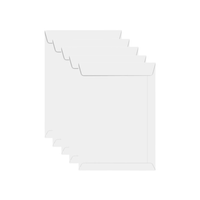 Foto do produto Envelope Saco Branco 240X340mm com 100unds - Via Brasil