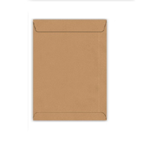 Foto do produto Envelope Saco Kraft 220x320mm - Via Brasil
