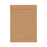 Foto do produto Envelope Saco Kraft 240X340mm - Via Brasil
