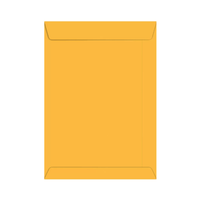 Foto do produto Envelope Saco Ouro 240X340mm - Via Brasil