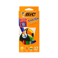 Foto do produto Lápis de Cor com 12 Cores - Bic