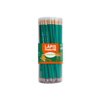 Foto do produto Lápis Grafite Verde com Borracha 72 unds - Leo e Leo
