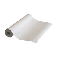 Foto do produto Lençol Para Maca Hospitalar 70mmX50m Extra Branco