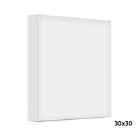 Foto do produto Tela Para Pintura 30x30cm - Souza
