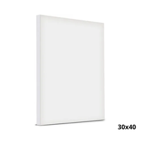 Foto do produto Tela Para Pintura 30X40cm - Souza