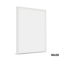Foto do produto Tela Para Pintura 40x50cm - Souza