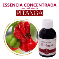 Foto do produto Essência Concentrada Pitanga - 100Gr