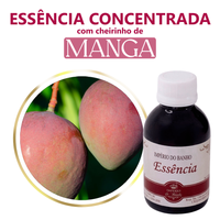 Foto do produto Essência Concentrada Manga - 100Gr