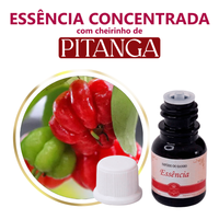 Foto do produto Essência Concentrada Pitanga - 10Gr