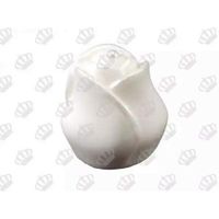 Foto do produto Molde de Silicone Botão de Rosa G