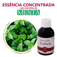 Foto do produto Essência Concentrada Menta - 100Gr