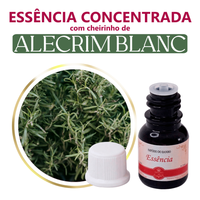 Foto do produto Essência Concentrada Alecrim Blanc - 10Gr