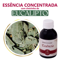 Foto do produto Essência Concentrada Eucalipto - 100Gr