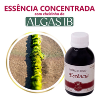 Foto do produto Essência Concentrada Algas IB 100 g