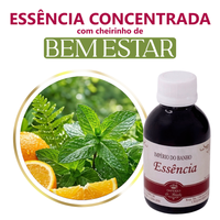 Foto do produto Essência Concentrada Bem Estar (Nalanda) - 100Gr