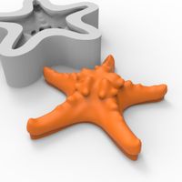Foto do produto Molde de Silicone Estrela do Mar