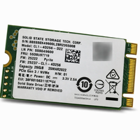 Foto do produto NGFF SATA M.2 256GB 2242 SSSTC Semi S/CX