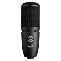 Foto do produto Microfone Condensador de Diafragma AKG P120 Harman 