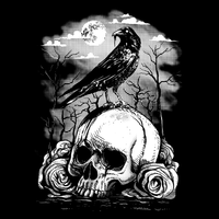MANGA LONGA PRETA - CORVO
