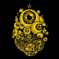 CAMISETA PRETA - TERRA DE OLHO