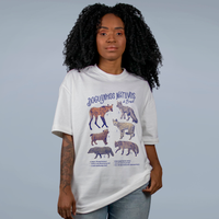 CAMISETA OVERSIZED OFF WHITE - DOGUINHOS NATIVOS DO BRASIL