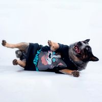 CAMISETA PRETA - THORRESMO